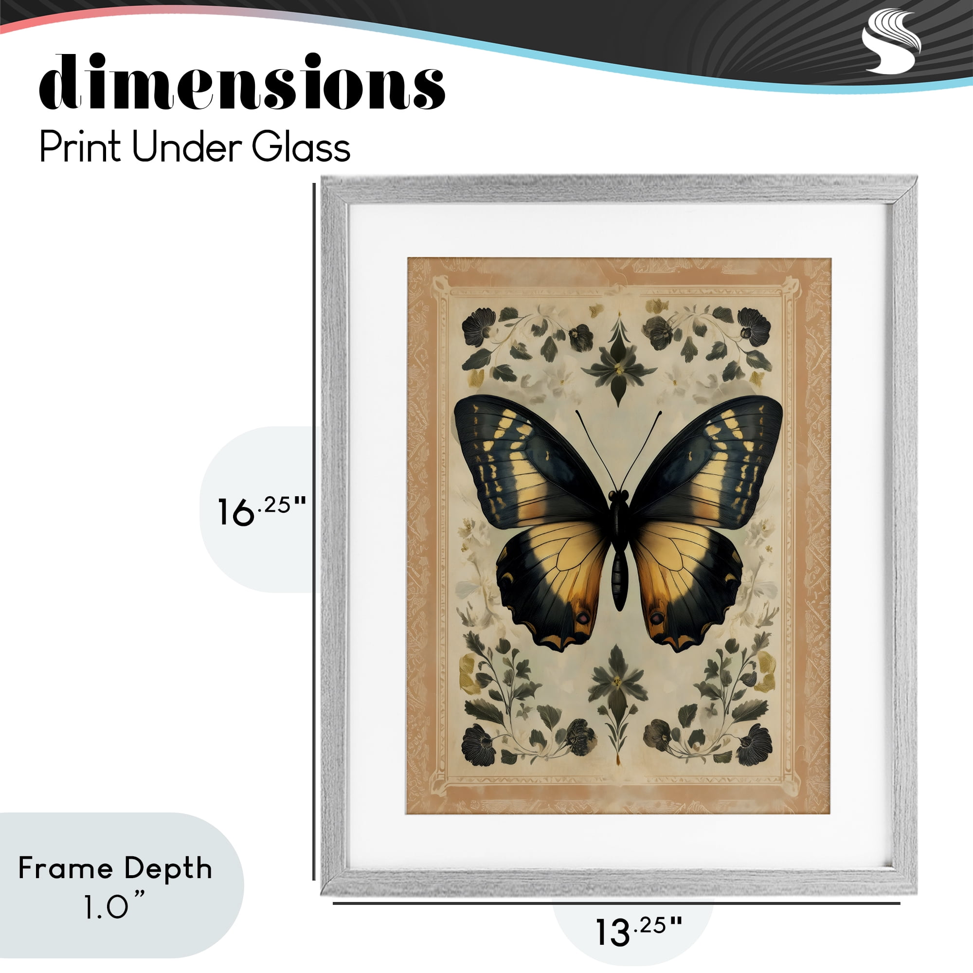 Stupell Industries Vintage Butterfly Botanical Illustration Gray Framed Print Under Glass, design by Arlington Prints