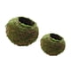 thumbnail image 1 of 2pcs Maceta de Bonsai Plants Titular de Flor Herramienta Manual para Jardinería Hogar Cocina 6cm + 12cm shamjiam Maceta de bola de musgo, 1 of 8