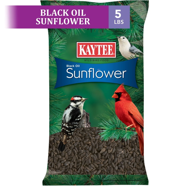 Kaytee Black Oil Sunflower Wild Bird Food, 5 Lb photo 3