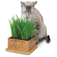 thumbnail image 1 of Kitty's Garden, 1 of 3