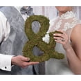 thumbnail image 3 of Lillian Rose Large (15") Moss Monogram Letter Y, Green, 3 of 4