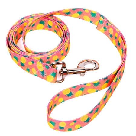 Country Brook Petz® 1 Inch Pineapple Sunset Dog Leash 4 Foot