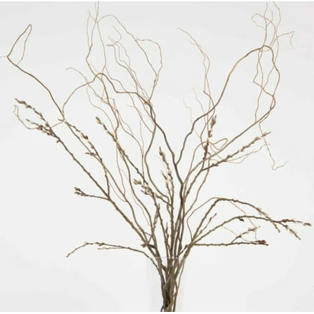 Greenfloralcrafts Decorative Branches Diy Kit Curly Willow 3 5 Ft