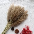 thumbnail image 5 of Dried Pampas Grass Decor, 80 PCS Pampas Grass Contains Bunny Tails Dried Flowers, Reed Grass Bouquet for Wedding Boho Flowers Home Table Decor, Rustic Farmhouse Party (White and Brown), 5 of 8