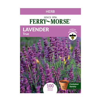 Ferry-Morse 34MG Lavender True Vegetable   (1 Pack)- Seed Gardening, Full Sunlight