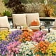 thumbnail image 1 of Ramo de margaritas artificiales y crisantemos, flores artificiales para decoración interior y exterior, 1 of 2