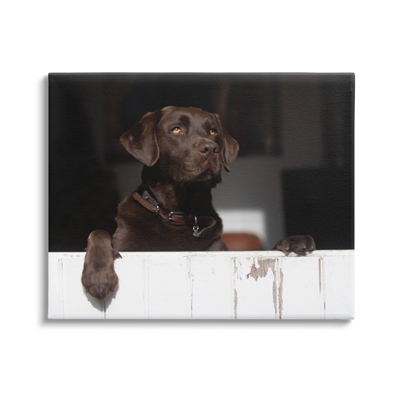 Stupell Industries Labrador Dog Overlooking Farm Leaning Barn Door Photograph Gallery Wrapped Canvas Print Wall Art, Design by James Dobson