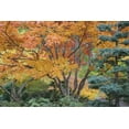 thumbnail image 2 of Paulson, Don 32x23 Black Ornate Wood Framed with Double Matting Museum Art Print Titled - Oregon, Ashland Lithia Park trees in a Garden, 2 of 4