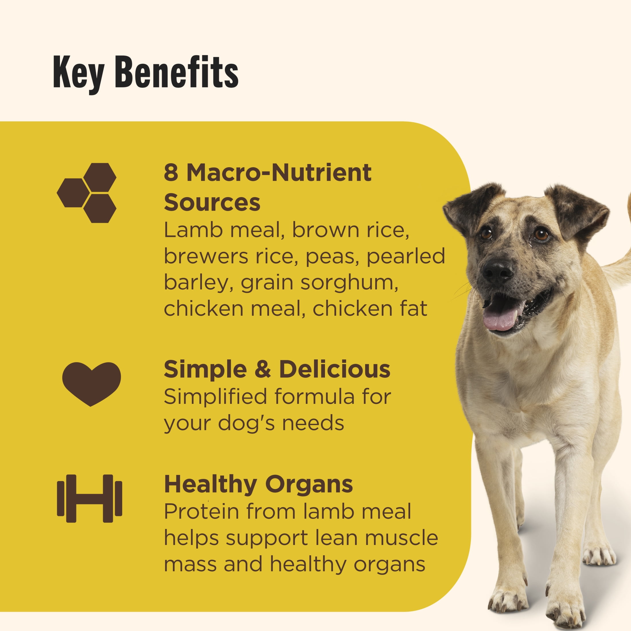 Nutrish Limited Ingredient Lamb Meal & Brown Rice Recipe Dry Dog Food, 14 lb. Bag (Rachael Ray)