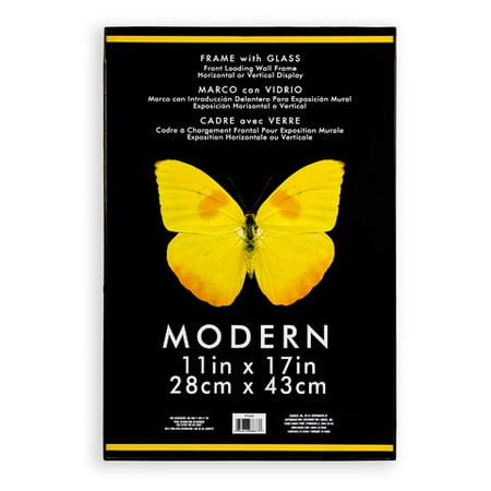 Frame: Modern, Plastic and Glass, Black, 11 x 17 inches