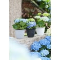 thumbnail image 3 of Pot de fleurs Mainstays Basic Bell 15 cm noir, design classique avec soucoupe intégrée, fini mat résistant aux intempéries., 3 of 3