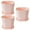 Pink*3, variant on EZPXFCI Plastic Plant Pots for Plants with Saucers, Indoor Set of 3 Plastic Planters Modern Flower Pot with Drainage Hole for All House Plants, Herbs, Flowers, and Seeding Nursery