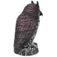 thumbnail image 1 of Adorno De Búho, Materiales Plásticos De Alta Calidad, Estatua De Búho De Simulación De Alto Grado, Estilos Vívidos Para Uso Doméstico En Hotel Ccdes Otros, 1 of 8
