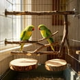 thumbnail image 4 of Soporte de descanso para loro de madera natural con ramas de árboles frutales para aves pequeñas, juguete para desgaste de garras y pico, soporte ajustable para jaula, reemplazable y lavable., 4 of 6
