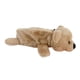 thumbnail image 5 of Estuche para Lápices con Cabeza de Oso de Peluche, Estuche Ligero para Bolígrafos, Suministros de Papelería, Bolso de Felpa, Estuche para Lápices para Marrón claro, 5 of 8