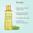 thumbnail image 3 of Just Herbs Silky Strength Moisturizing Natural Shampoo with Aloevera and Wheatgerm for Dandruff, Damaged & Dry Hair, Sulfate & Paraben Free - 6.8 fl.oz., 3 of 7