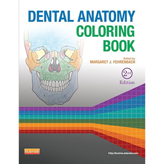 Pre-Owned Dental Anatomy Coloring Book (Paperback) 1455745898 9781455745890