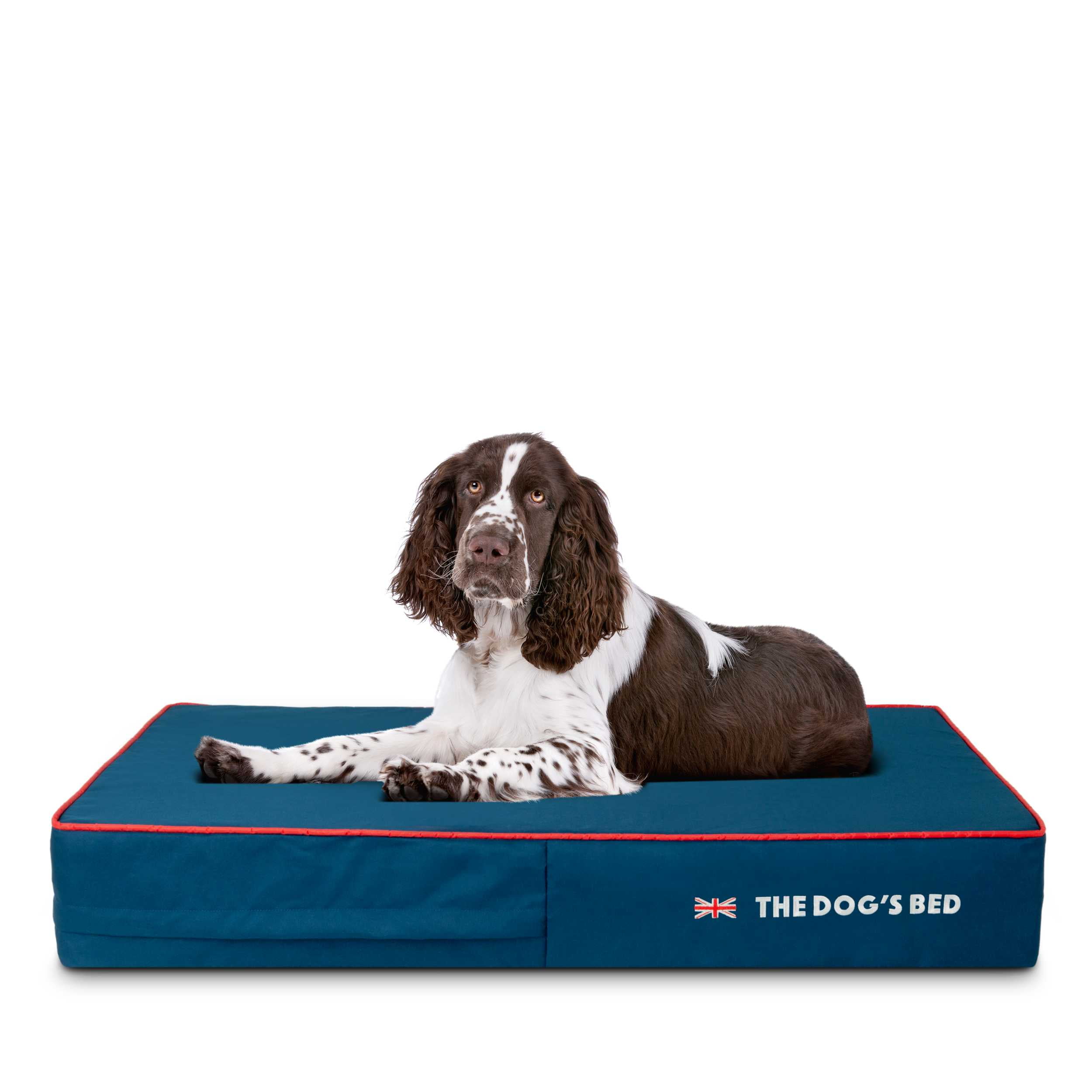 The Dog’s Bed Orthopedic Memory Foam Dog Bed, Large Blue/Red 40x25, UK Centre Flag ,Pain Relief for Arthritis, Hip & Elbow Dysplasia, Waterproof Washable Cover