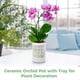 thumbnail image 3 of Maceta de Orquídea con Agujeros, Macetas de Cerámica para Plantas de Exterior e Interior, Macetas para Trasplantar con Drenaje y Platillo de 4 Pulgadas, 3 of 5