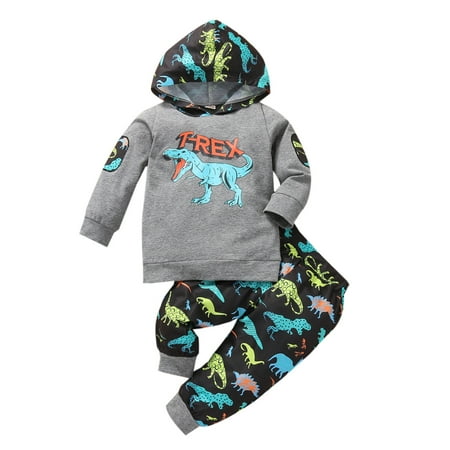 

Toddler Infant Baby Boy Letter Dinosaur Hoodie Sweatshirt Top+Pants Outfits Set