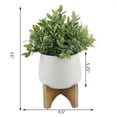 thumbnail image 2 of Flora Bunda CS4595E-MTWH 15' Tea-leaf in 7.87' Mayan Ceramic on Stand, 2 of 3