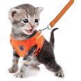 thumbnail image 1 of LAICAIW Dog Harness and Leash Set, No Pull Reflective Adjustable Pet Soft Mesh Chest Vest Harnesses Easy Control for Small Medium Dogs and Cats Outdoor Walking, 1 of 7