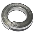 thumbnail image 4 of Split Lock washers, Stainless Steel 18-8, 3/8", PK50, by Fullerkreg, 4 of 4