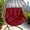 Red, variant on Bxaolu Hammock Chair Cushion, Hanging Basket Egg Chair Cushion Round Seat Thick Nest Back Pillow for Patio Porch Furniture Garden Swing Chair Seat Pads (Only Pads - Red)
