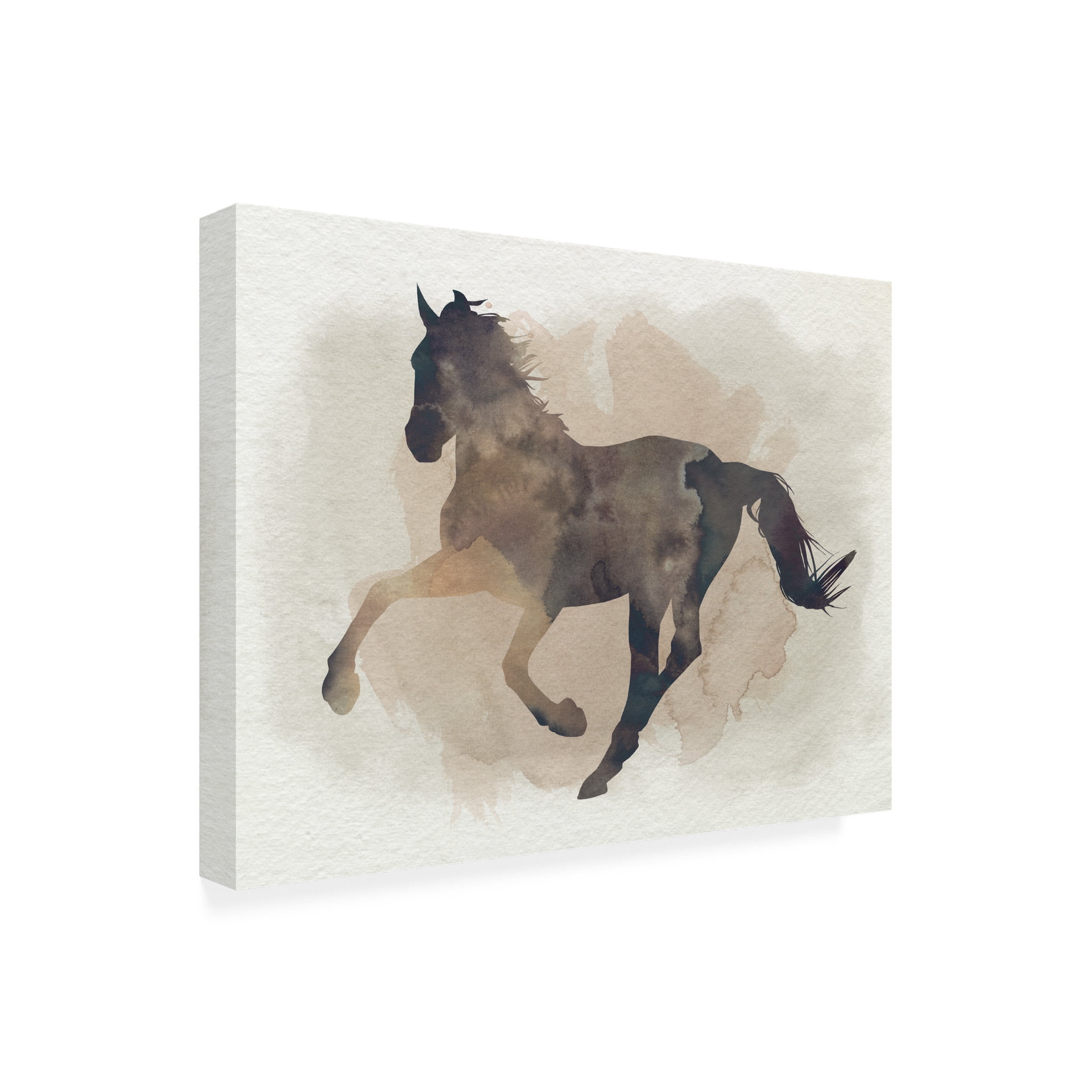 Grace Popp 'Galloping II' Canvas Art