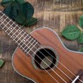 thumbnail image 2 of Milisten Guitar Sound Hole Decal Self-Adhesive Rosette Inlaid Sound Hole Ring Sticker Decoration For Classical Guitar Ukulele Flower Decoration Sky-Blue, 2 of 6