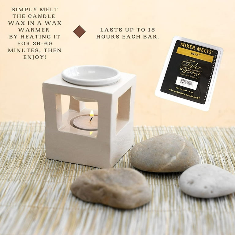  Worldwide Nutrition Bundle, 2 Items: Tyler Candle Company Glam  Fam Scent - Soy Wax Scented Mixer Melts with Essential Oils for Wax Warmer  - Box of 14, 6 Bars per Melt
