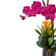 thumbnail image 2 of Orchid and Bromeliad Silk Arrangement in Glossy Black Cylinder Vase, 2 of 2