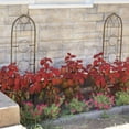 thumbnail image 5 of Sunnydaze Arched 12" x 48" Black Steel Garden Trellis for Climbing Plants (2 Count), 5 of 9