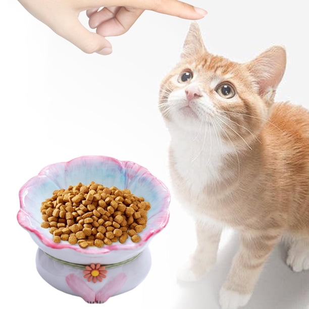 Ceramic Cat Bowl Snack Recipe Protect Pet cuellos s menos vómitos para gatos pequeños, medianos y grandes cachorros de cachorros de interior Azul