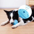 thumbnail image 2 of Dog Chew Ball Rubber: Bouncy Interactive Dog Squeaky Ball Puppy Toothbrush Toy, 2 of 5