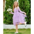 thumbnail image 6 of Arshiner Flower Girl Dress Toddler Contrast Lace Tutu Irregular Tulle Wedding Birthday Party Dresses, 6 of 6