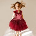 thumbnail image 1 of Vestido de princesa con falda tutú lisa y sin mangas con lazo para niñas pequeñas, 1 of 1