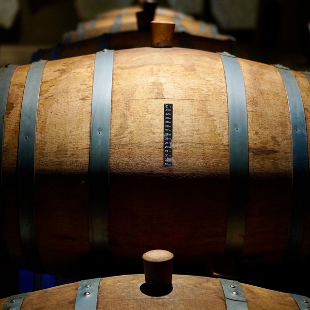 IDEANATEGRATE 2Ud Tira Adhesiva Termómetro Para Cervecería Y Fermentación Con Cambio De Color Práctico