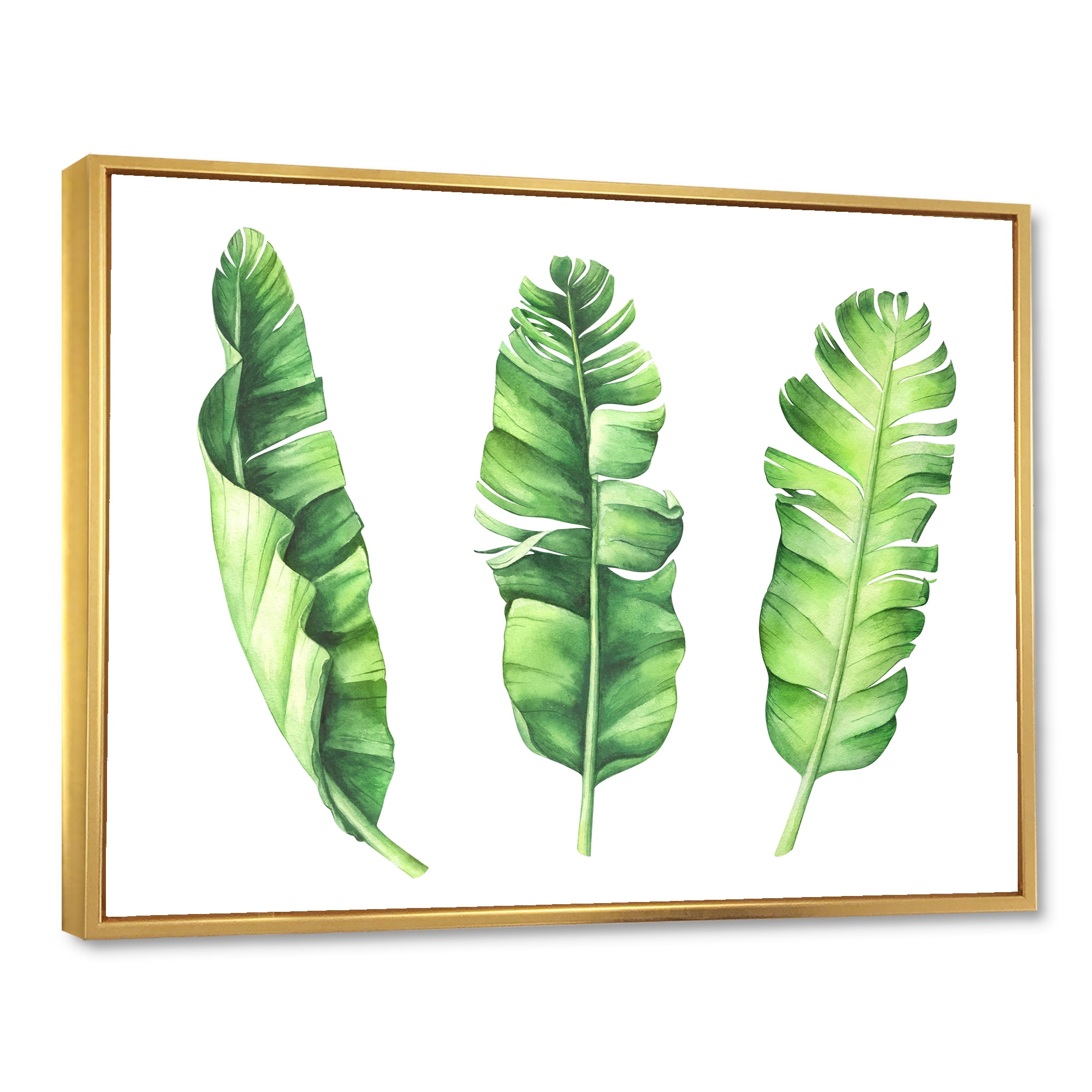 Designart 'Tropical Banana Leaves Set On White' Farmhouse Framed Canvas Wall Art Print