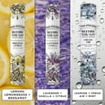 thumbnail image 6 of Poo-Pourri Before-You-Go Toilet Spray, On-The-Go, Travel Size Variety 10 mL - Original Citrus, Lavender Vanilla and Fresh Air, 6 of 14