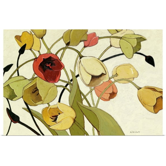 Great BIG Canvas | Rolled Shirley Novak Poster Print entitled Tulip Toss