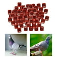 thumbnail image 2 of kurtrusly 100Pcs 2022 Aluminium Colombe Pigeon de Course Pied Anneaux 8mm Rouge, 2 of 8