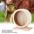 thumbnail image 1 of Zerodis Roue d'Exercice pour Hamster, Roue d'Exercice Silencieuse pour Hamster, Roue de Course Robuste pour Hamster Cochon d'Inde pour l'Exercice d'Animaux, 1 of 8