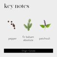 thumbnail image 3 of Reed Diffuser LAFCO New York Absolute Balsam Black Pepper, 450 ml, 3 of 6
