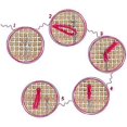 thumbnail image 3 of Sunflower Latch Hook Kit DIY Rug Making Kit Sewing Tapestry Kits Crochet Kits Carpet Embroidery Kit Handmade Home Decoration Mats,52X38cm, 3 of 5