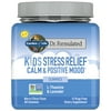 Garden of Life Dr. Formulated Kids Stress Relief Gummies | Drug Free Supplement | 60ct