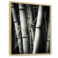 thumbnail image 2 of Designart "Black And White Photo Of Bamboo III" Bamboo Floater Framed Canvas Prints, 2 of 5