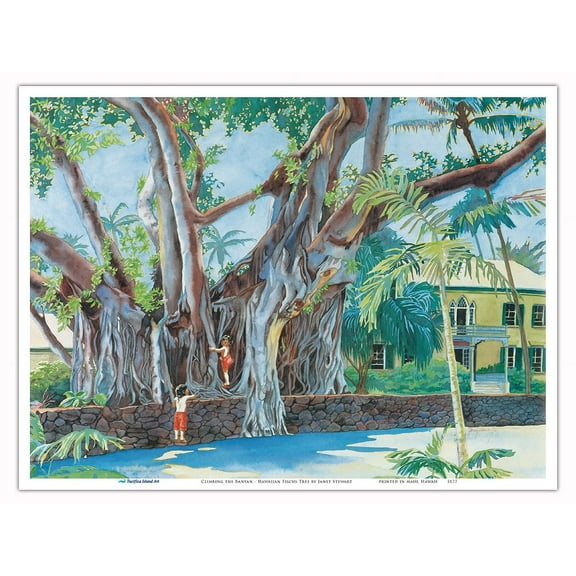 Climbing the Royal Banyan Tree (E E Ka Panaiana) - Hulihe‘e Palace Hawaii - From an Original Watercolor Painting by Janet Stewart - Master Art Print (Unframed) 9in x 12in