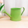 thumbnail image 5 of Ohmyroo Small Watering Can With Handle For Indoor Plants Garden Home Use, 5 of 5