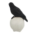 thumbnail image 3 of Resin Skull w/ Crow Decor, 3 of 6